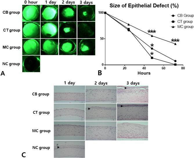 https://cdn.ncbi.nlm.nih.gov/pmc/blobs/4944/7381646/1dddcb155eee/41598_2020_69020_Fig4_HTML.jpg