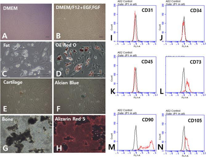 https://cdn.ncbi.nlm.nih.gov/pmc/blobs/4944/7381646/f55c924818a7/41598_2020_69020_Fig1_HTML.jpg