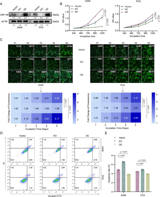 https://cdn.ncbi.nlm.nih.gov/pmc/blobs/4945/12205509/28b929d6cd1a/13578_2025_1433_Fig2_HTML.jpg