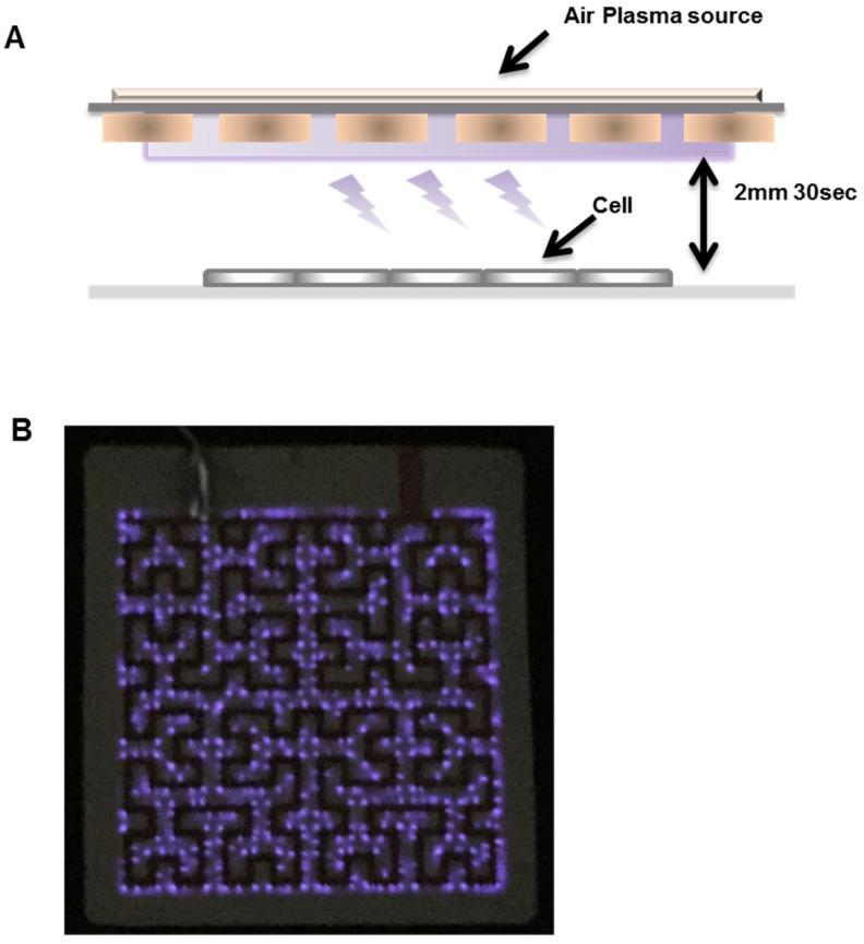 https://cdn.ncbi.nlm.nih.gov/pmc/blobs/4945/5666541/e71ba9a9f4e9/ijmsv14p1101g004.jpg