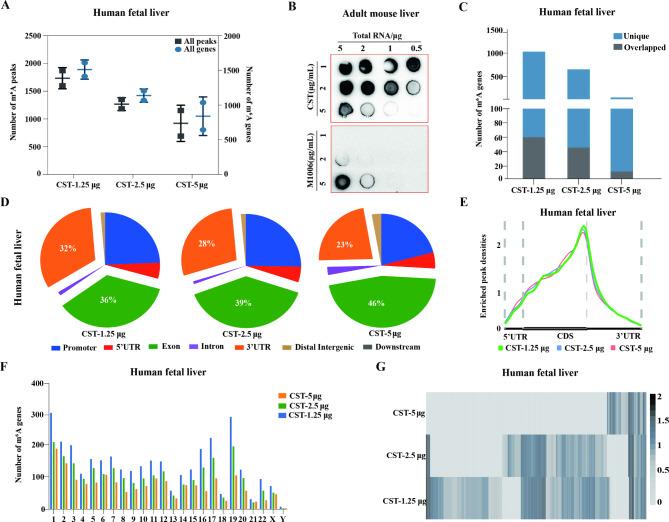 https://cdn.ncbi.nlm.nih.gov/pmc/blobs/4946/11707076/31d16cc9520e/41598_2025_85150_Fig5_HTML.jpg