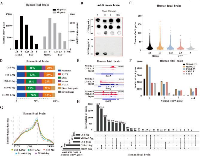https://cdn.ncbi.nlm.nih.gov/pmc/blobs/4946/11707076/91bccaa1ad82/41598_2025_85150_Fig4_HTML.jpg