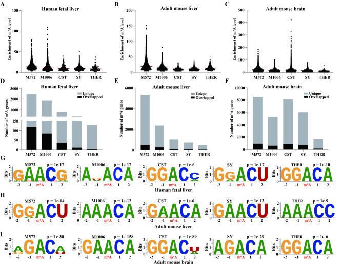 https://cdn.ncbi.nlm.nih.gov/pmc/blobs/4946/11707076/b0d4fdf0a0bd/41598_2025_85150_Fig2_HTML.jpg