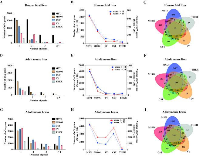 https://cdn.ncbi.nlm.nih.gov/pmc/blobs/4946/11707076/b2bbe93f4601/41598_2025_85150_Fig3_HTML.jpg