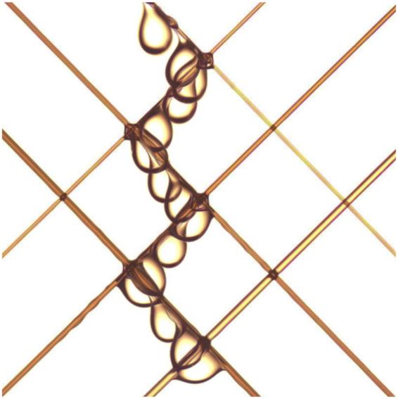 https://cdn.ncbi.nlm.nih.gov/pmc/blobs/4946/5645473/a99795c581fa/41598_2017_13009_Fig1_HTML.jpg
