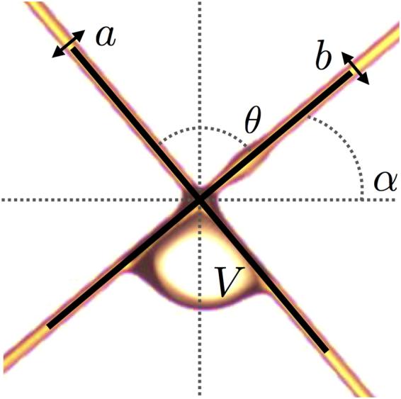 https://cdn.ncbi.nlm.nih.gov/pmc/blobs/4946/5645473/bbaaa72c9896/41598_2017_13009_Fig2_HTML.jpg