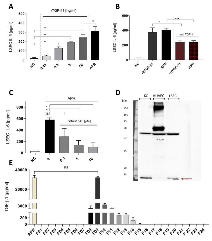 https://cdn.ncbi.nlm.nih.gov/pmc/blobs/4946/7290849/4d88cffcfcd2/cells-09-01311-g005.jpg