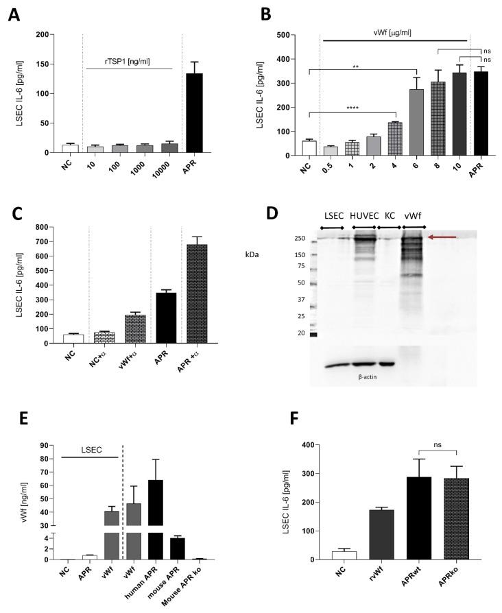 https://cdn.ncbi.nlm.nih.gov/pmc/blobs/4946/7290849/8803de5b4ed3/cells-09-01311-g004.jpg
