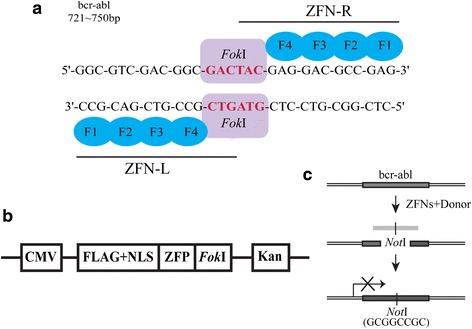 https://cdn.ncbi.nlm.nih.gov/pmc/blobs/4948/5859405/50411bb193b7/13046_2018_732_Fig1_HTML.jpg