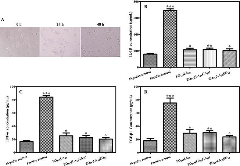 https://cdn.ncbi.nlm.nih.gov/pmc/blobs/4948/6978636/0b7c3028d977/gr5.jpg