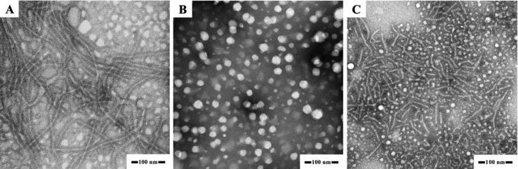https://cdn.ncbi.nlm.nih.gov/pmc/blobs/4948/6978636/2280b014b3f6/gr1.jpg