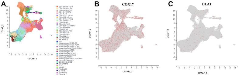 https://cdn.ncbi.nlm.nih.gov/pmc/blobs/4949/10756095/316c77acde08/aging-15-205324-g009.jpg