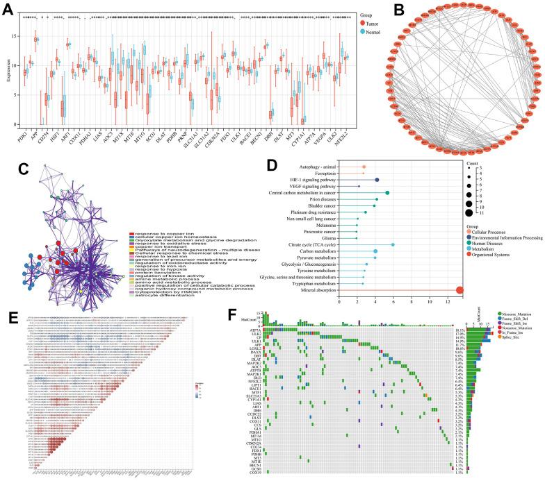 https://cdn.ncbi.nlm.nih.gov/pmc/blobs/4949/10756095/94ead79e1988/aging-15-205324-g001.jpg