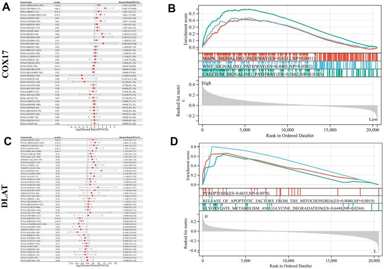 https://cdn.ncbi.nlm.nih.gov/pmc/blobs/4949/10756095/c0151703a46a/aging-15-205324-g008.jpg