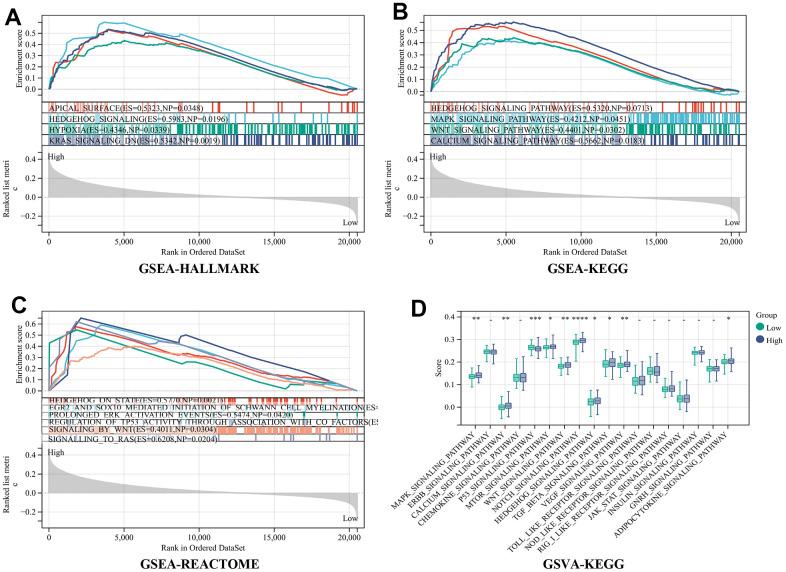https://cdn.ncbi.nlm.nih.gov/pmc/blobs/4949/10756095/e588ba7ca4e5/aging-15-205324-g005.jpg