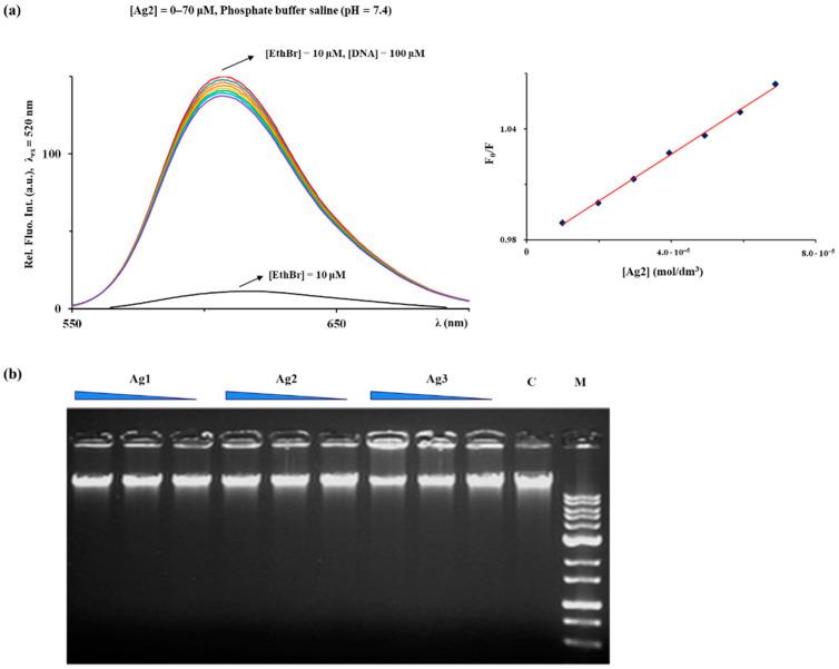 https://cdn.ncbi.nlm.nih.gov/pmc/blobs/4949/8037121/a8537bc9070b/molecules-26-01871-g007.jpg
