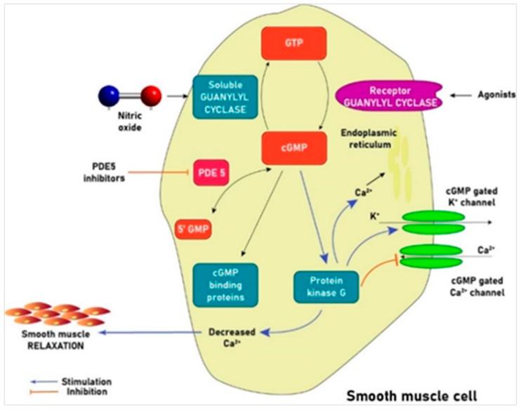 https://cdn.ncbi.nlm.nih.gov/pmc/blobs/494a/7287956/2068bcd1bdb9/jcm-09-01284-g001.jpg