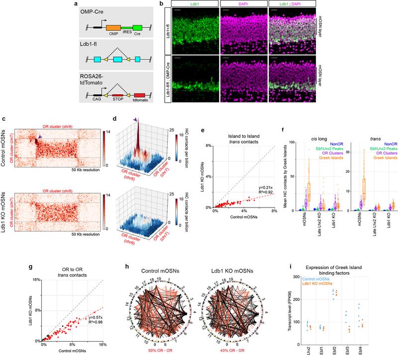 https://cdn.ncbi.nlm.nih.gov/pmc/blobs/494b/6436840/1e31d3b9acb9/nihms-1516138-f0007.jpg