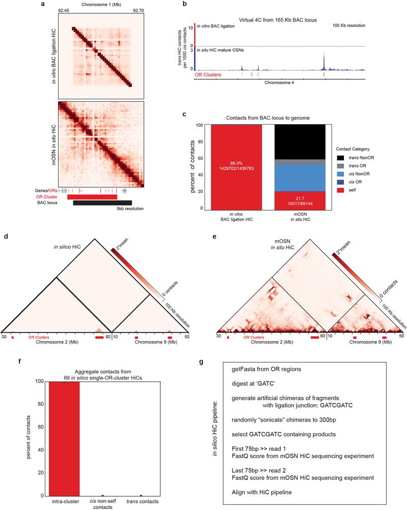 https://cdn.ncbi.nlm.nih.gov/pmc/blobs/494b/6436840/b3632286f80f/nihms-1516138-f0003.jpg