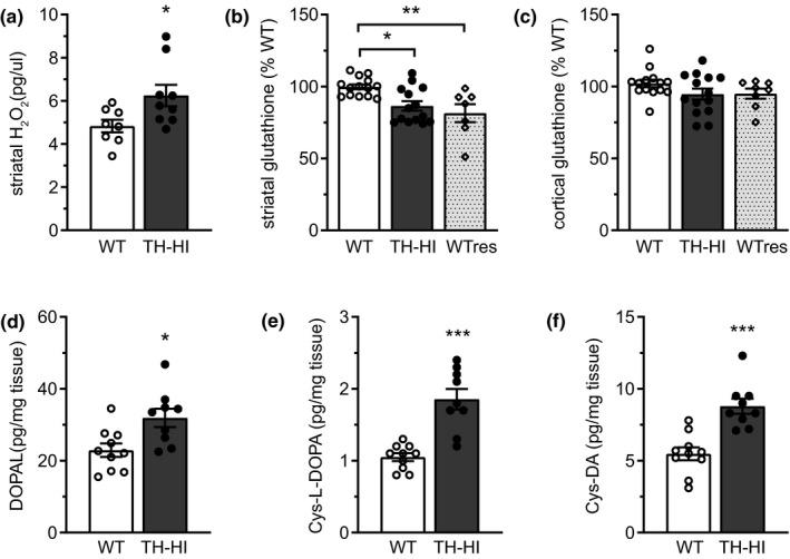 https://cdn.ncbi.nlm.nih.gov/pmc/blobs/494b/8453984/09dd520e257c/JNC-158-960-g008.jpg