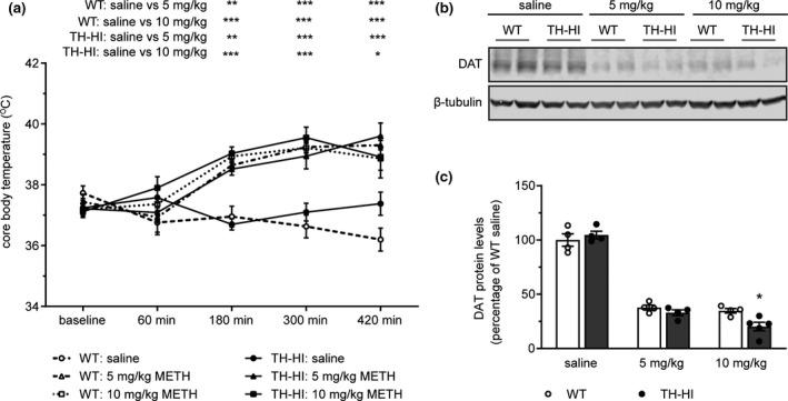 https://cdn.ncbi.nlm.nih.gov/pmc/blobs/494b/8453984/98b11278ba06/JNC-158-960-g003.jpg