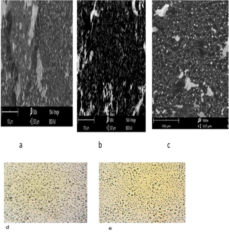 https://cdn.ncbi.nlm.nih.gov/pmc/blobs/494d/9793284/487f14bddccf/gr10.jpg