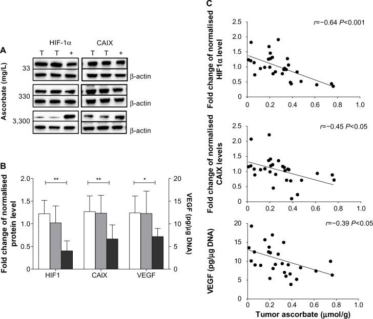 https://cdn.ncbi.nlm.nih.gov/pmc/blobs/4951/5085285/5f3540170b23/hp-4-041Fig5.jpg