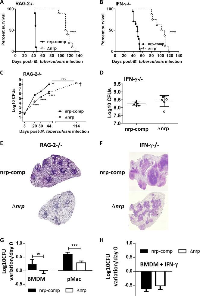 https://cdn.ncbi.nlm.nih.gov/pmc/blobs/4951/6211224/de6fae235c84/sph0061826870004.jpg
