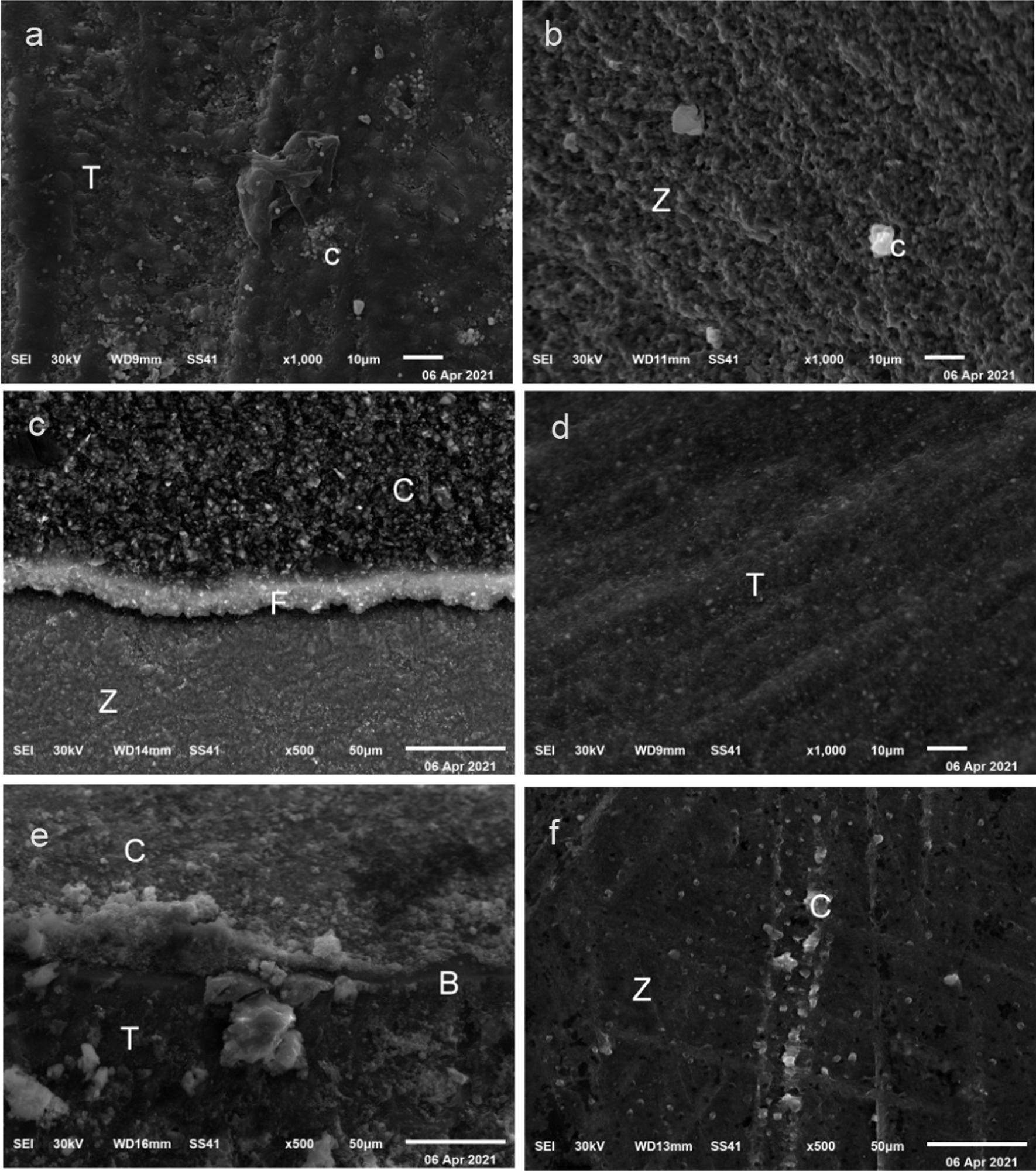 https://cdn.ncbi.nlm.nih.gov/pmc/blobs/4951/9118569/feadf9a82e2c/12903_2022_2223_Fig5_HTML.jpg