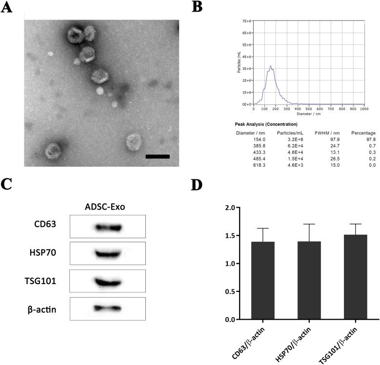 https://cdn.ncbi.nlm.nih.gov/pmc/blobs/4951/9668683/5619271504f4/gr2.jpg