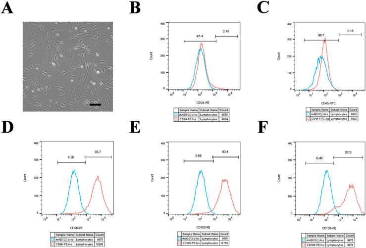 https://cdn.ncbi.nlm.nih.gov/pmc/blobs/4951/9668683/6f572688d363/gr1.jpg
