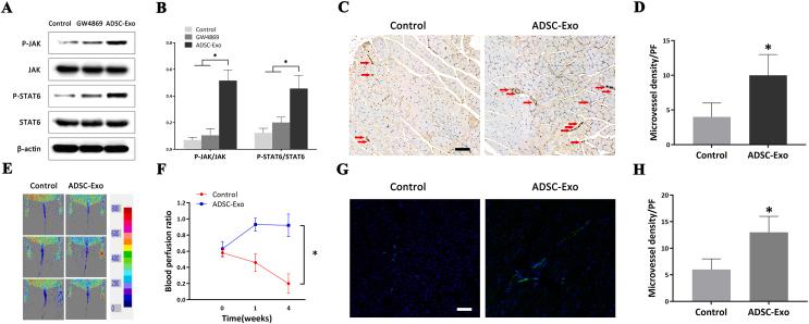 https://cdn.ncbi.nlm.nih.gov/pmc/blobs/4951/9668683/76e196d69a4b/gr5.jpg