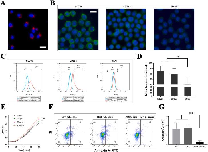 https://cdn.ncbi.nlm.nih.gov/pmc/blobs/4951/9668683/c6170247c4af/gr3.jpg
