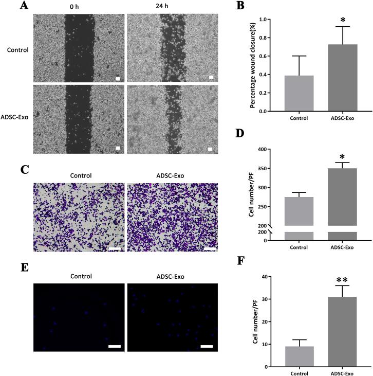 https://cdn.ncbi.nlm.nih.gov/pmc/blobs/4951/9668683/eb64621fbbd7/gr4.jpg