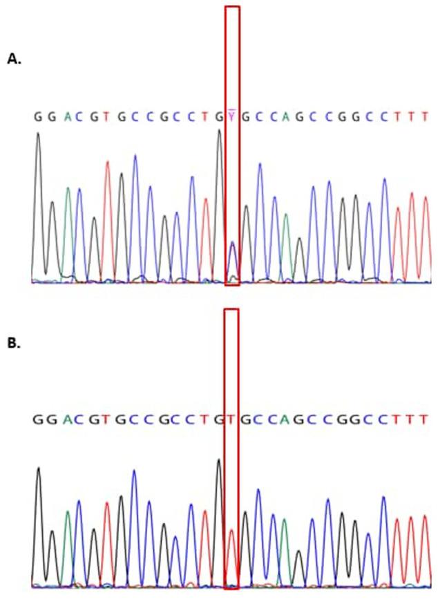 https://cdn.ncbi.nlm.nih.gov/pmc/blobs/4952/8627147/801d1833a903/PAMJ-40-105-g002.jpg