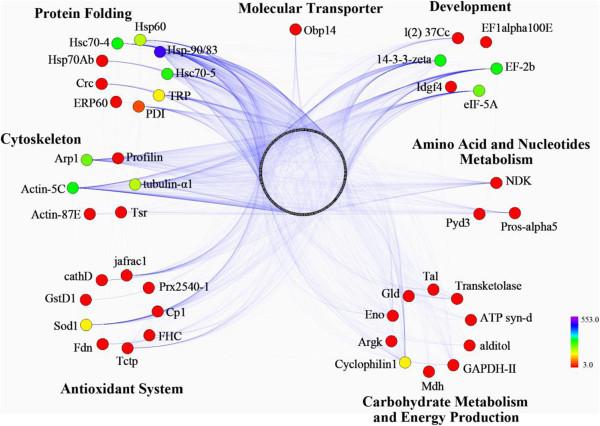 https://cdn.ncbi.nlm.nih.gov/pmc/blobs/4953/4111844/f8d028722873/12864_2014_6273_Fig7_HTML.jpg