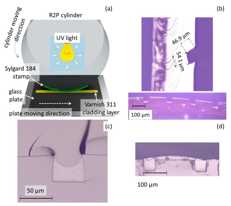 https://cdn.ncbi.nlm.nih.gov/pmc/blobs/4953/8001095/b79ea9769ae8/nanomaterials-11-00724-g003.jpg