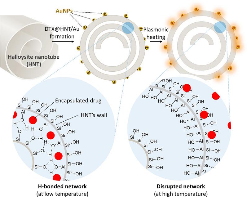 https://cdn.ncbi.nlm.nih.gov/pmc/blobs/4953/8359560/4a0bf1e28195/12951_2021_982_Fig8_HTML.jpg