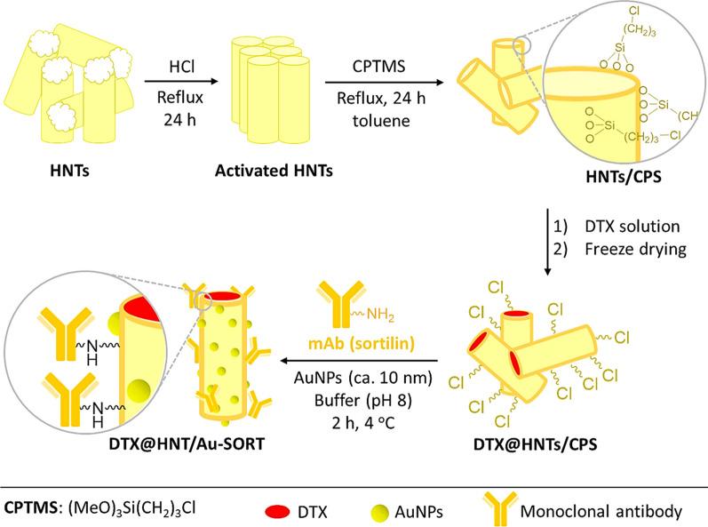 https://cdn.ncbi.nlm.nih.gov/pmc/blobs/4953/8359560/9daf5da02b9a/12951_2021_982_Fig1_HTML.jpg