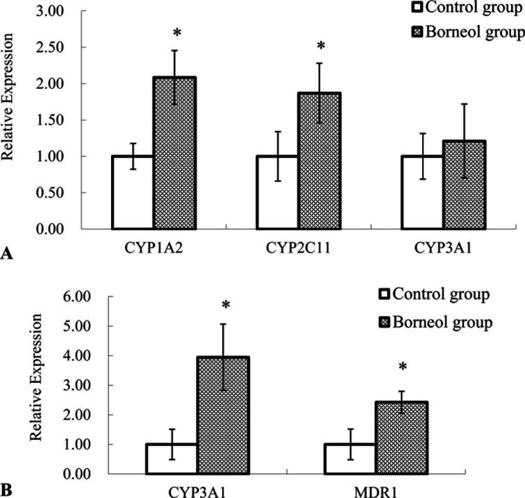 https://cdn.ncbi.nlm.nih.gov/pmc/blobs/4954/8437715/f7e1f172093c/jvms-83-1338-g003.jpg