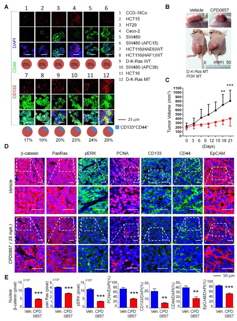https://cdn.ncbi.nlm.nih.gov/pmc/blobs/4955/9025482/f22b7dcef634/biomedicines-10-00859-g004.jpg