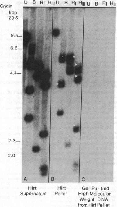 https://cdn.ncbi.nlm.nih.gov/pmc/blobs/4956/392108/3bf1ac33df35/pnas00623-0312-a.jpg