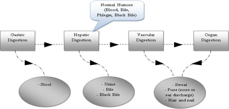 https://cdn.ncbi.nlm.nih.gov/pmc/blobs/495a/4877961/ff9c9b6da74a/AJP-6-165-g001.jpg