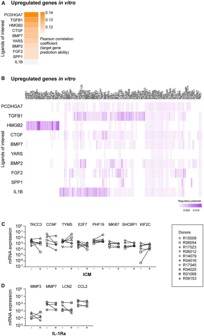 https://cdn.ncbi.nlm.nih.gov/pmc/blobs/495b/10330817/90661abbf2ee/fncel-17-1178504-g002.jpg