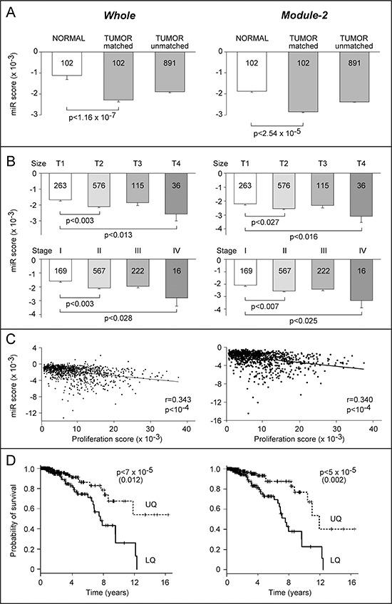 https://cdn.ncbi.nlm.nih.gov/pmc/blobs/495d/4537007/78c4b226e767/oncotarget-06-13176-g005.jpg