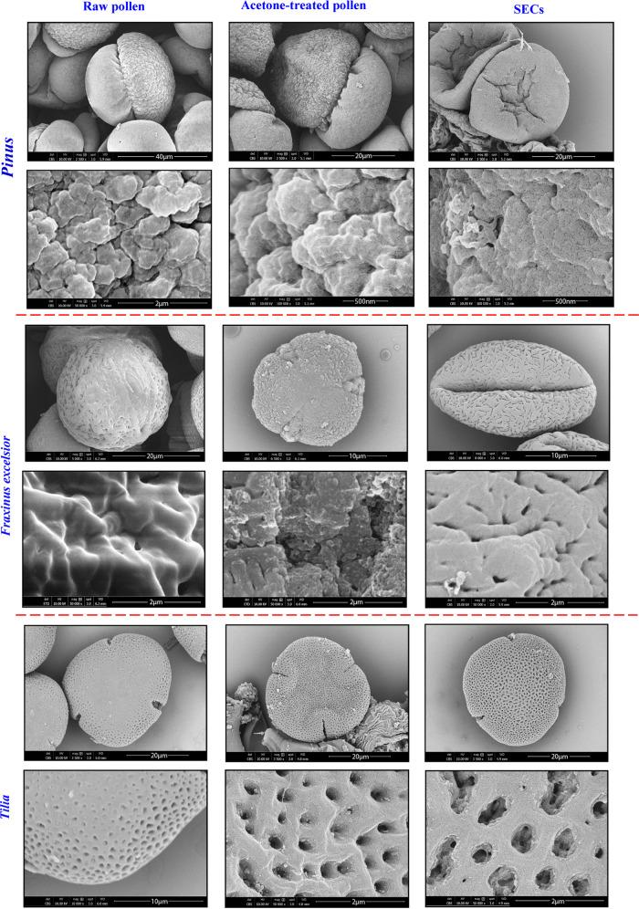 https://cdn.ncbi.nlm.nih.gov/pmc/blobs/495d/8941510/d2020b47ca16/mt2c00071_0002.jpg