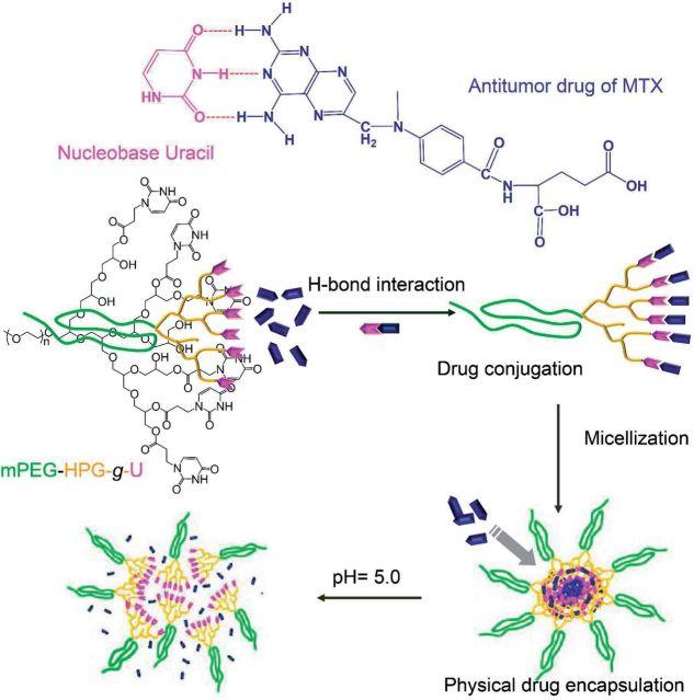 https://cdn.ncbi.nlm.nih.gov/pmc/blobs/495f/4669001/4f1a5866991f/rbu010f9p.jpg