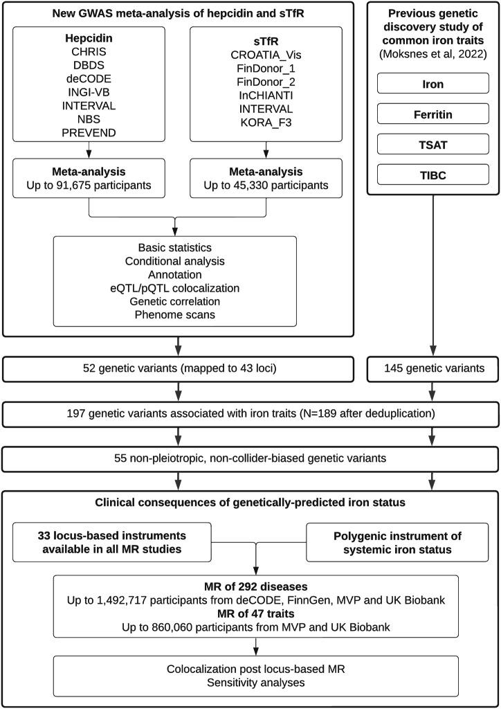 https://cdn.ncbi.nlm.nih.gov/pmc/blobs/4961/11624196/1cd5b87b878a/42003_2024_7115_Fig1_HTML.jpg