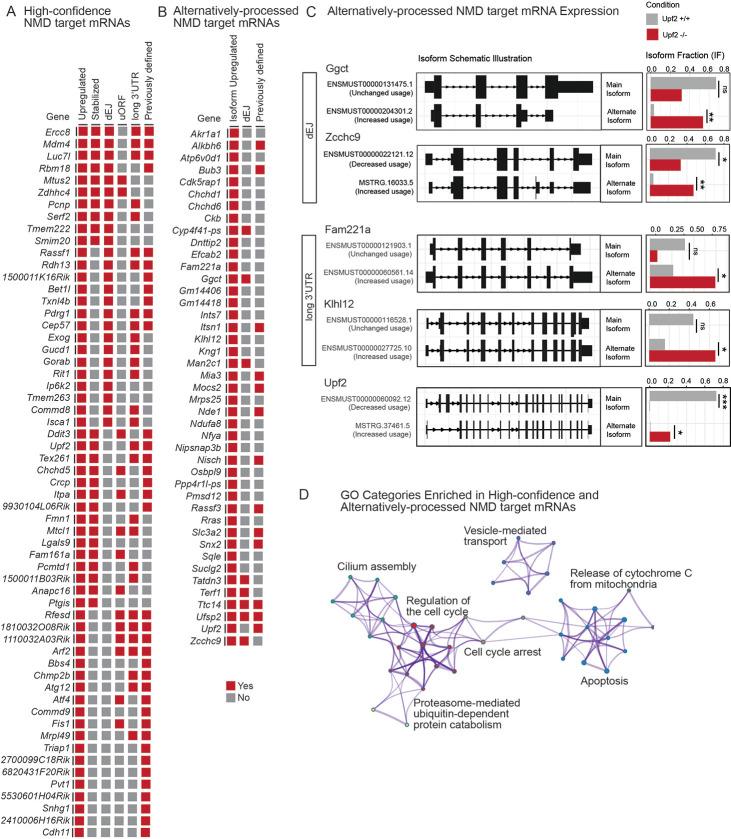 https://cdn.ncbi.nlm.nih.gov/pmc/blobs/4961/9687065/3f1267dca4d0/develop-149-200764-g3.jpg