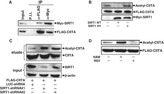 https://cdn.ncbi.nlm.nih.gov/pmc/blobs/4962/3239213/edcbbc750446/gkr651f2.jpg
